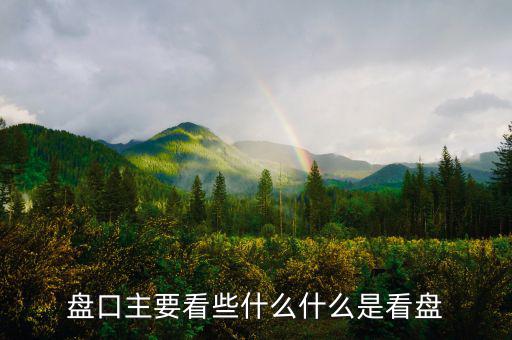 盤(pán)口主要看些什么什么是看盤(pán)