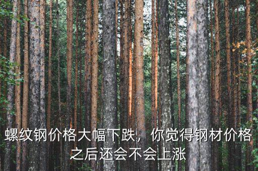 螺紋鋼價(jià)格大幅下跌，你覺(jué)得鋼材價(jià)格之后還會(huì)不會(huì)上漲