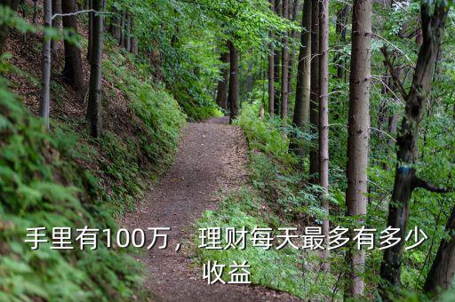手里有100萬(wàn)，理財(cái)每天最多有多少收益