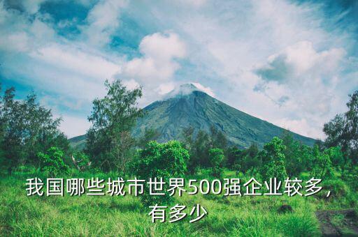 我國(guó)哪些城市世界500強(qiáng)企業(yè)較多，有多少