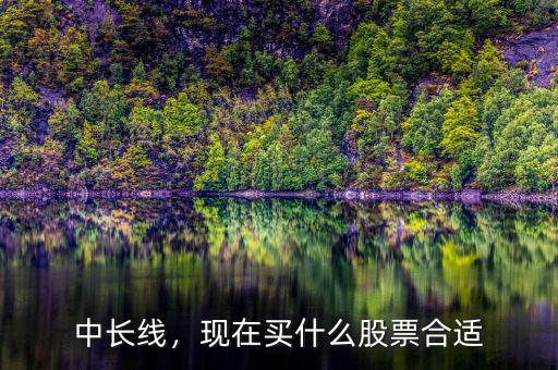 中長(zhǎng)線，現(xiàn)在買(mǎi)什么股票合適
