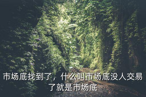 市場底找到了，什么叫市場底沒人交易了就是市場底
