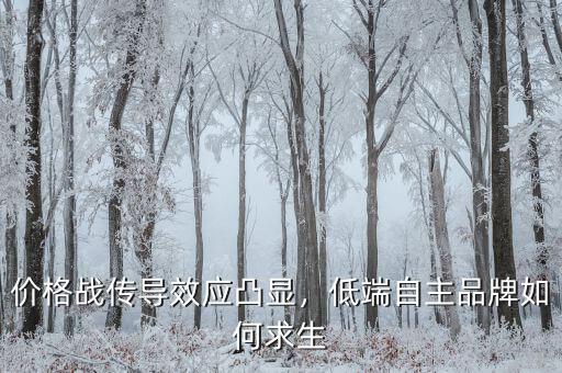價格戰(zhàn)傳導(dǎo)效應(yīng)凸顯，低端自主品牌如何求生