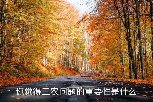 你覺得三農(nóng)問(wèn)題的重要性是什么