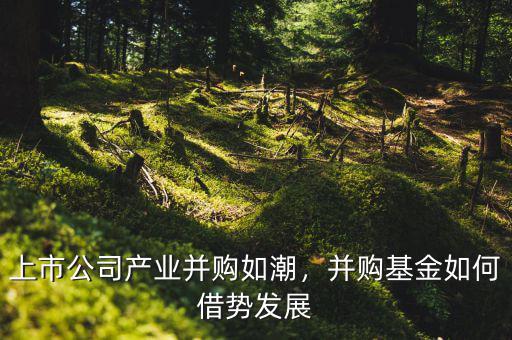 上市公司產(chǎn)業(yè)并購如潮，并購基金如何借勢發(fā)展