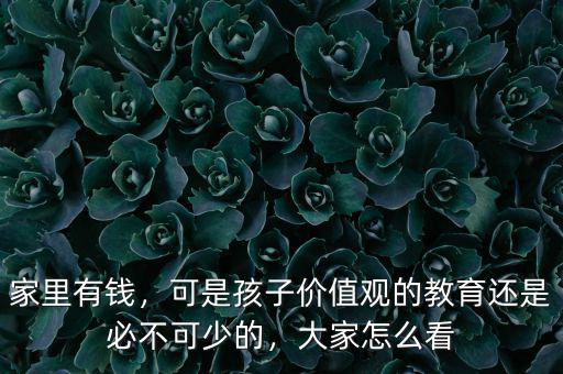 家里有錢，可是孩子價(jià)值觀的教育還是必不可少的，大家怎么看