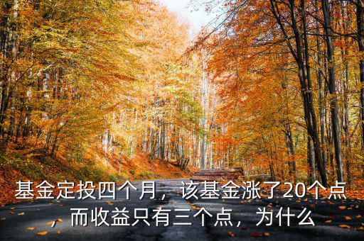 基金定投四個月，該基金漲了20個點，而收益只有三個點，為什么