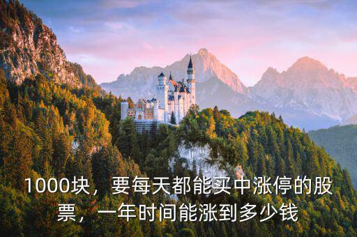 1000塊，要每天都能買中漲停的股票，一年時間能漲到多少錢