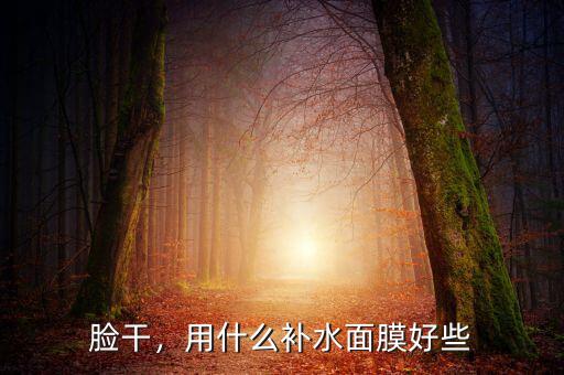 臉干，用什么補水面膜好些