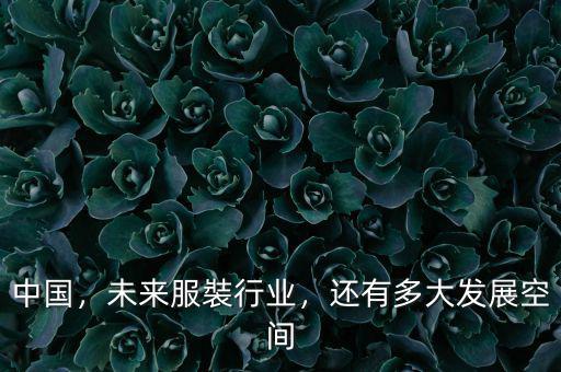 中國，未來服裝行業(yè)，還有多大發(fā)展空間
