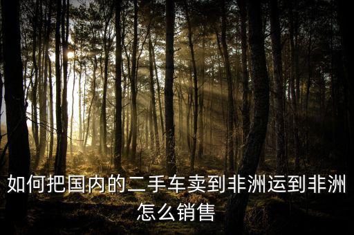 賣(mài)什么到非洲,到非洲做什么生意好