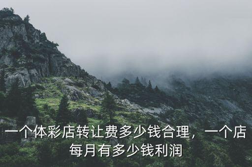 一個(gè)體彩店轉(zhuǎn)讓費(fèi)多少錢(qián)合理，一個(gè)店每月有多少錢(qián)利潤(rùn)