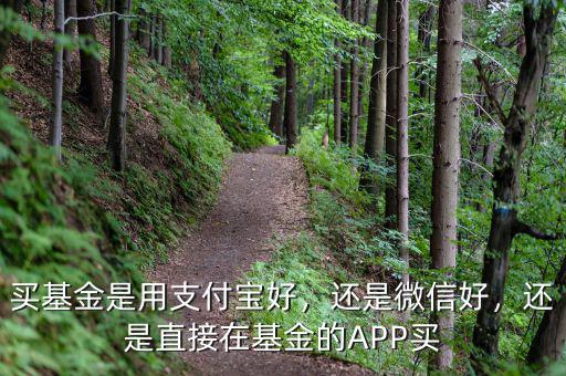 買基金是用支付寶好，還是微信好，還是直接在基金的APP買
