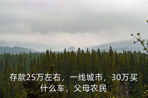 存款25萬左右，一線城市，30萬買什么車，父母農(nóng)民