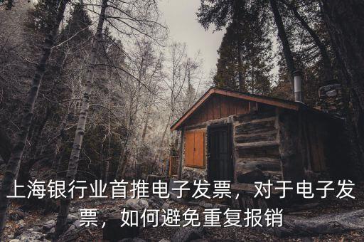 上海銀行業(yè)首推電子發(fā)票，對(duì)于電子發(fā)票，如何避免重復(fù)報(bào)銷(xiāo)