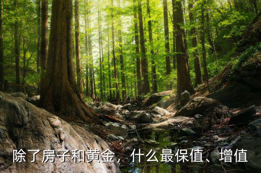 除了房子和黃金，什么最保值、增值