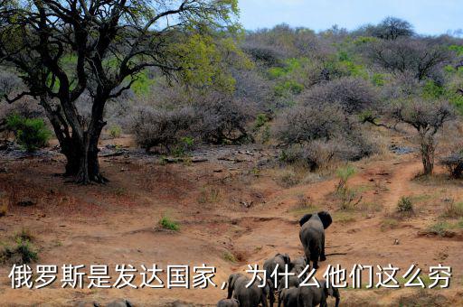 俄羅斯是發(fā)達國家，為什么他們這么窮