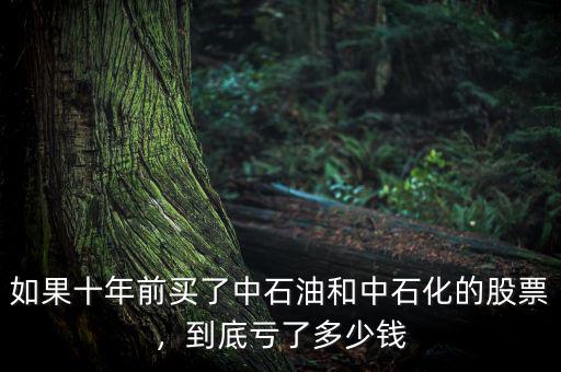 如果十年前買了中石油和中石化的股票，到底虧了多少錢