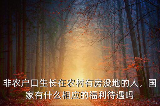 非農(nóng)戶口生長(zhǎng)在農(nóng)村有房沒(méi)地的人，國(guó)家有什么相應(yīng)的福利待遇嗎