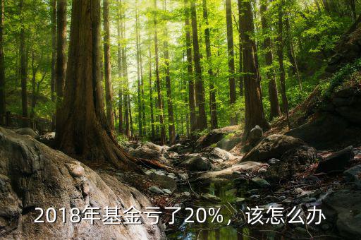 2018年基金虧了20%，該怎么辦