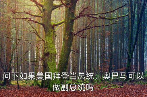 問下如果美國(guó)拜登當(dāng)總統(tǒng)，奧巴馬可以做副總統(tǒng)嗎