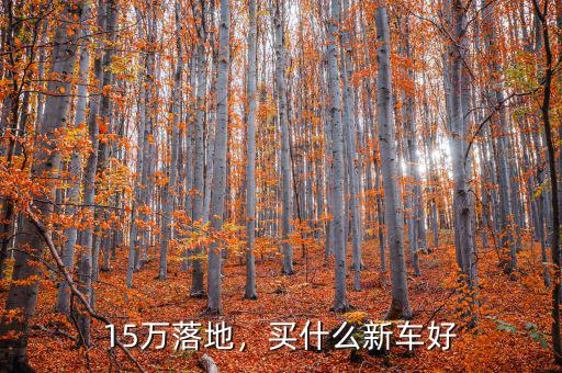 15萬(wàn)落地，買什么新車好