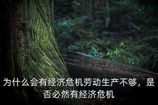 為什么會有經(jīng)濟危機勞動生產(chǎn)不夠，是否必然有經(jīng)濟危機