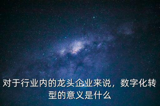 對(duì)于行業(yè)內(nèi)的龍頭企業(yè)來(lái)說(shuō)，數(shù)字化轉(zhuǎn)型的意義是什么