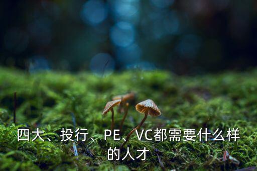 四大、投行、PE、VC都需要什么樣的人才