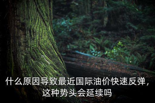 什么原因?qū)е伦罱鼑H油價(jià)快速反彈，這種勢(shì)頭會(huì)延續(xù)嗎
