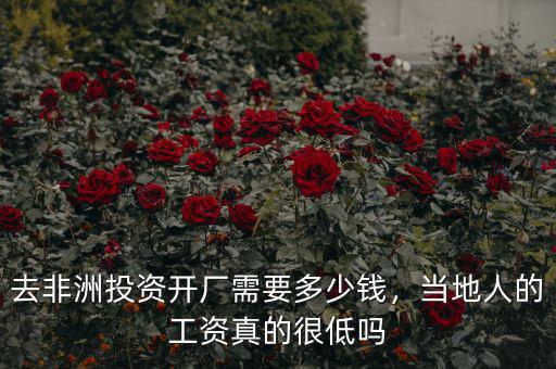 去非洲投資開廠需要多少錢，當(dāng)?shù)厝说墓べY真的很低嗎