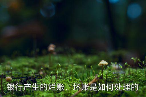 銀行產(chǎn)生的爛賬、壞賬是如何處理的