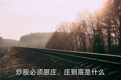 炒股必須跟莊，莊到底是什么