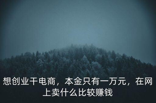 想創(chuàng)業(yè)干電商，本金只有一萬元，在網(wǎng)上賣什么比較賺錢