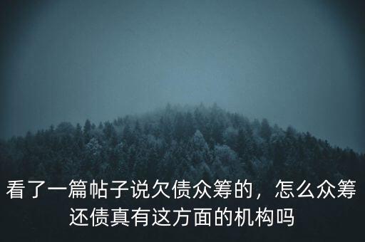 看了一篇帖子說欠債眾籌的，怎么眾籌還債真有這方面的機構嗎