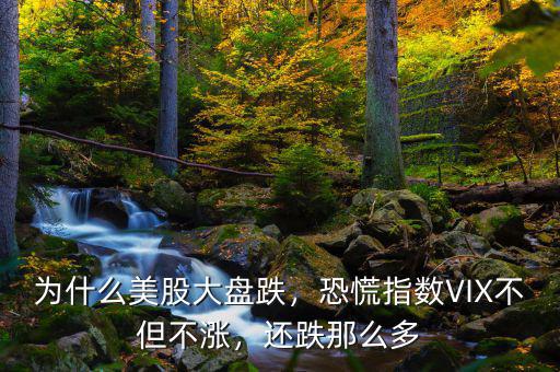 為什么美股大盤跌，恐慌指數(shù)VIX不但不漲，還跌那么多