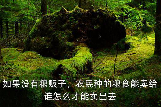 如果沒有糧販子，農民種的糧食能賣給誰怎么才能賣出去