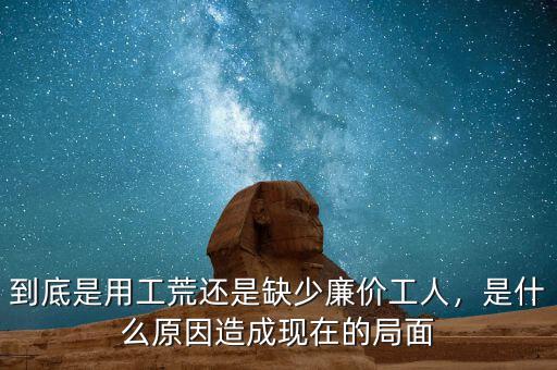 到底是用工荒還是缺少廉價工人，是什么原因造成現在的局面