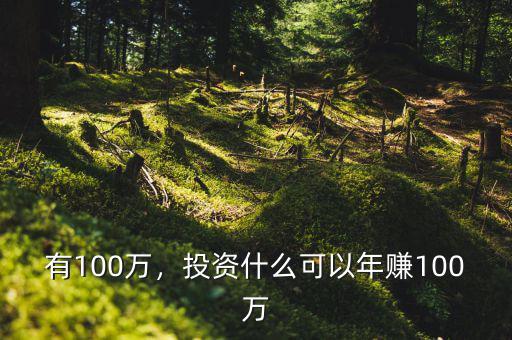 有100萬，投資什么可以年賺100萬