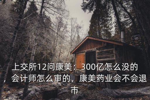 上交所12問(wèn)康美：300億怎么沒(méi)的，會(huì)計(jì)師怎么審的，康美藥業(yè)會(huì)不會(huì)退市
