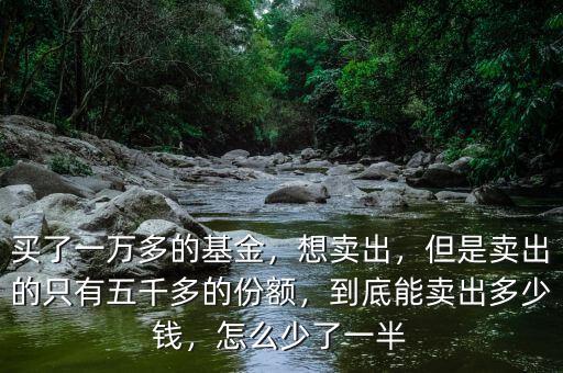 買了一萬多的基金，想賣出，但是賣出的只有五千多的份額，到底能賣出多少錢，怎么少了一半