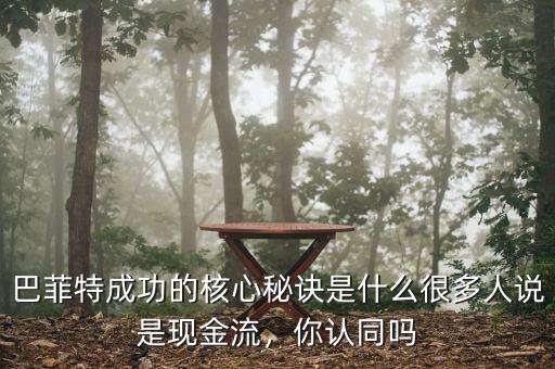 巴菲特成功的核心秘訣是什么很多人說是現(xiàn)金流，你認同嗎