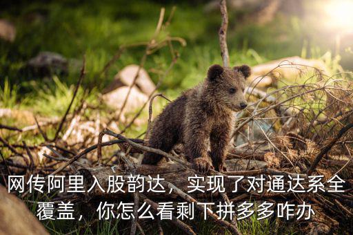 網(wǎng)傳阿里入股韻達，實現(xiàn)了對通達系全覆蓋，你怎么看剩下拼多多咋辦