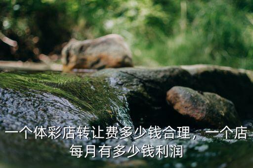 一個(gè)體彩店轉(zhuǎn)讓費(fèi)多少錢(qián)合理，一個(gè)店每月有多少錢(qián)利潤(rùn)
