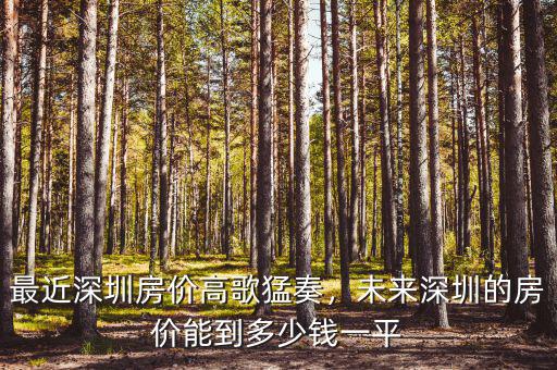最近深圳房價(jià)高歌猛奏，未來深圳的房價(jià)能到多少錢一平