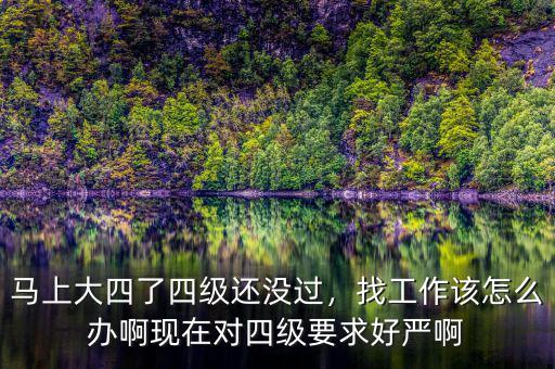 馬上大四了四級還沒過，找工作該怎么辦啊現(xiàn)在對四級要求好嚴(yán)啊