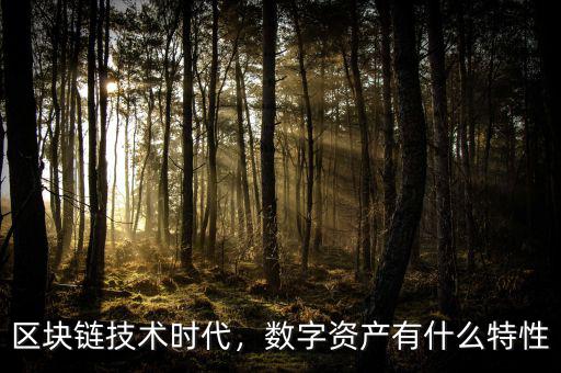 區(qū)塊鏈技術時代，數(shù)字資產(chǎn)有什么特性
