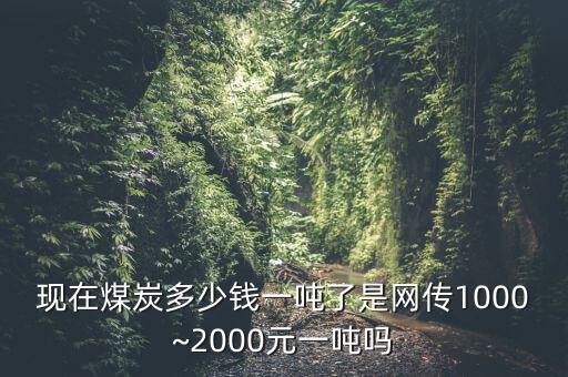 現(xiàn)在煤炭多少錢(qián)一噸了是網(wǎng)傳1000~2000元一噸嗎