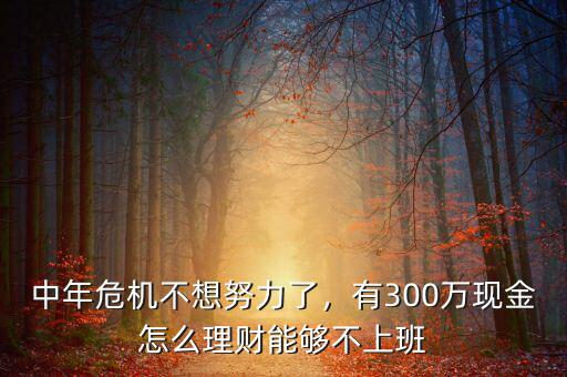 中年危機(jī)不想努力了，有300萬現(xiàn)金怎么理財(cái)能夠不上班