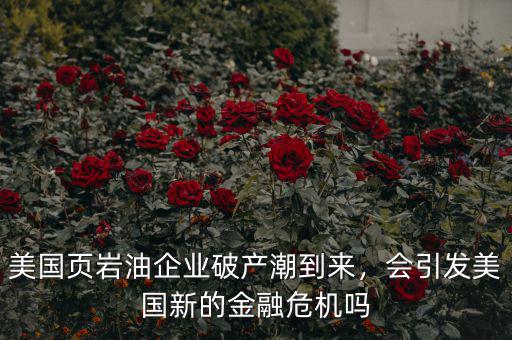 美國頁巖油企業(yè)破產(chǎn)潮到來，會(huì)引發(fā)美國新的金融危機(jī)嗎